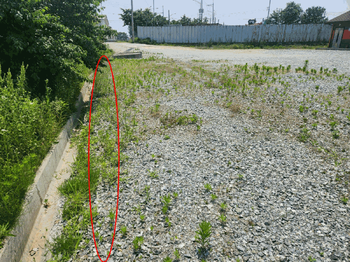 기호 4 토지 전경