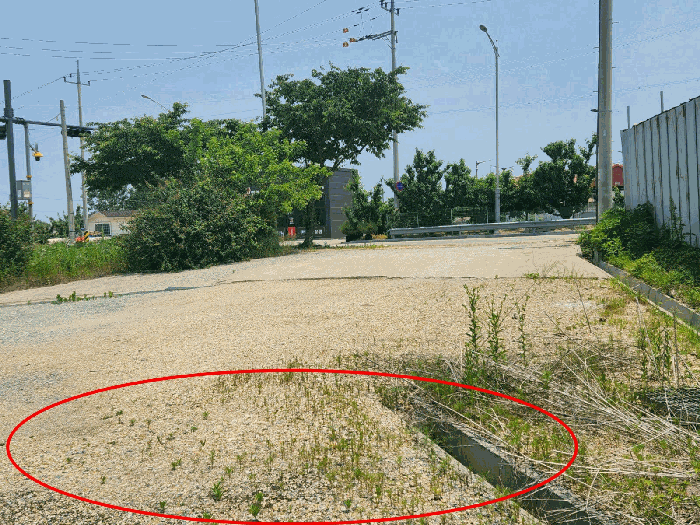 기호 5 토지 전경