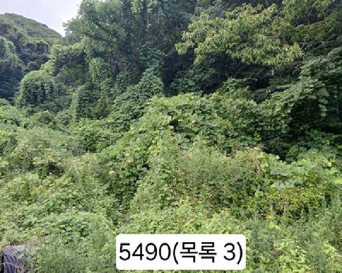 본건 목록 3. 임야