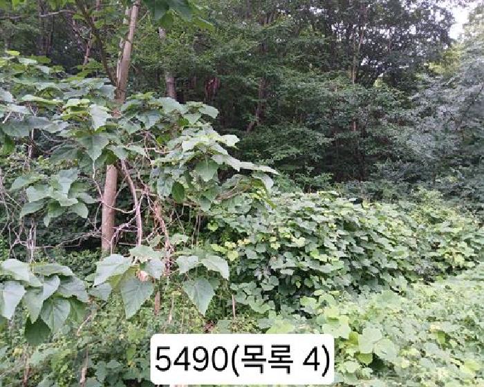 본건 목록 4. 임야