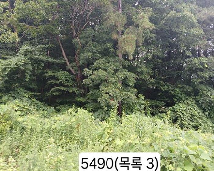 본건 목록 3. 임야