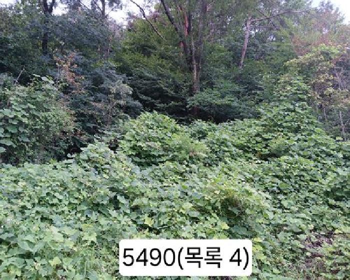 본건 목록 4. 임야