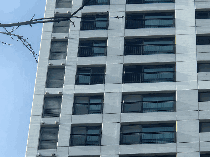 본건 전경