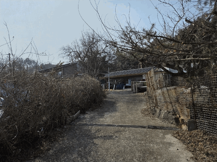 본건전경