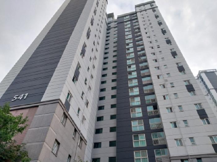 541동 전경
