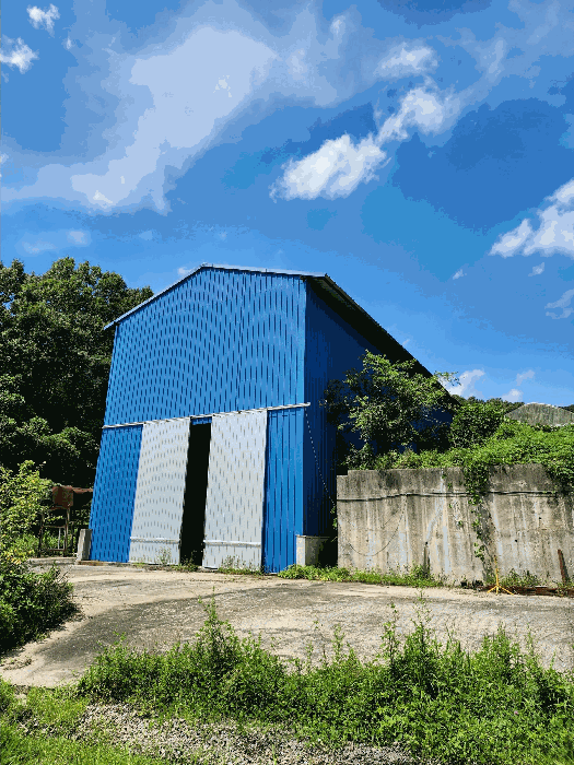 일련번호 (3, 가동) 전경