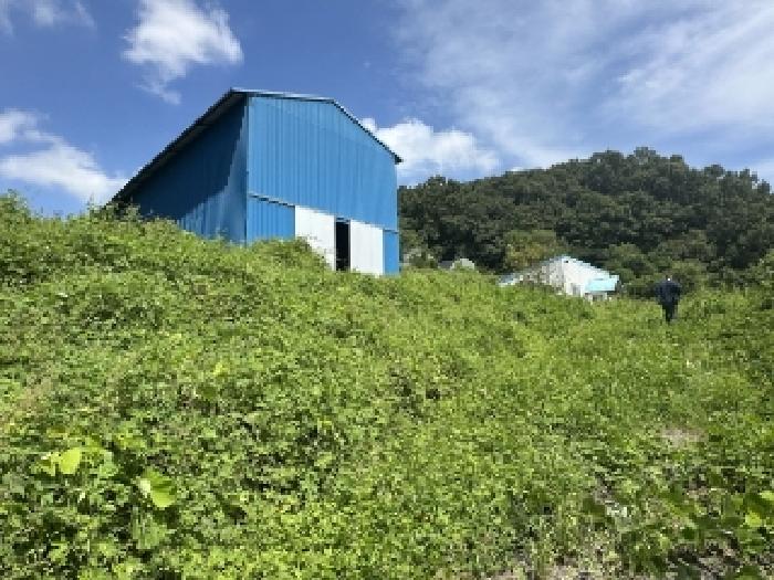 본건3