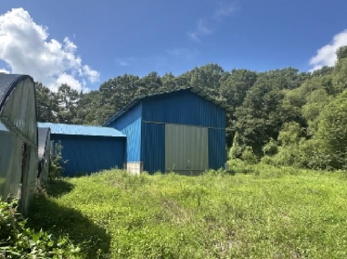 본건3