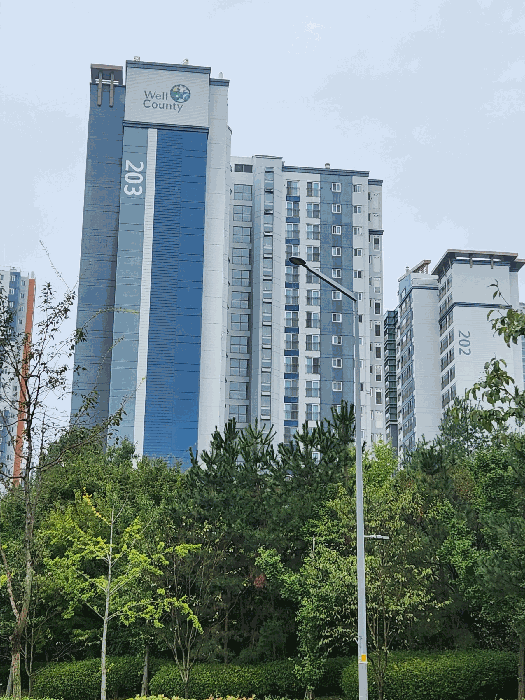 본건 전경