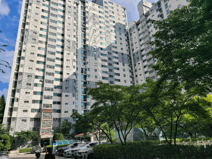 본건전경
