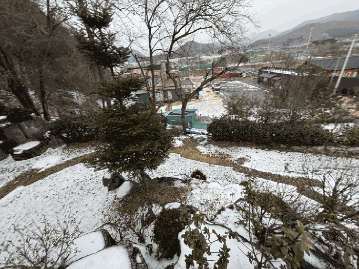 본건전경-기호(4), 지상위 수목