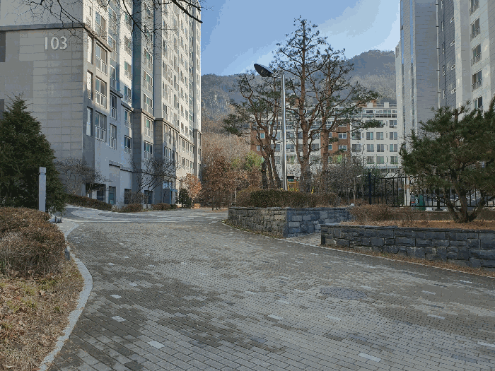 단 지 내 부