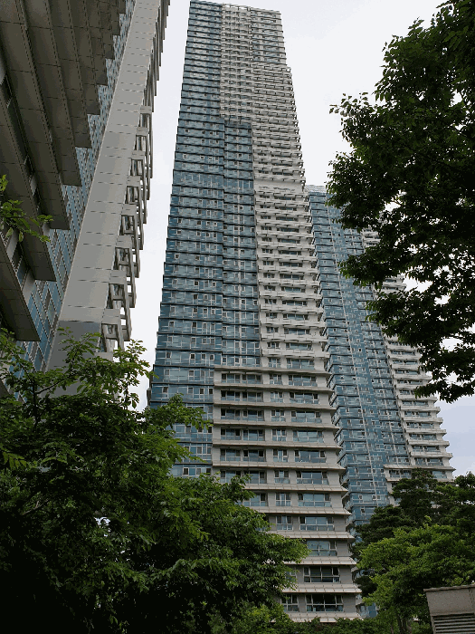 본건의 전경