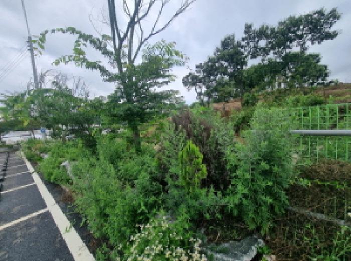 목록2 및 제시외수목