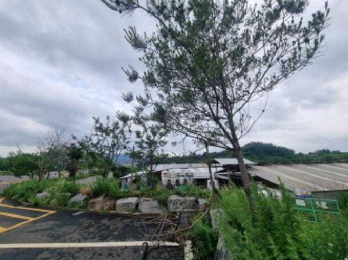 목록2 및 제시외수목