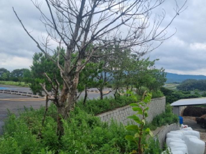 목록2 및 제시외수목