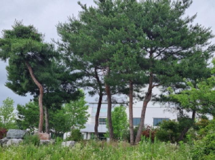 목록2 및 제시외수목