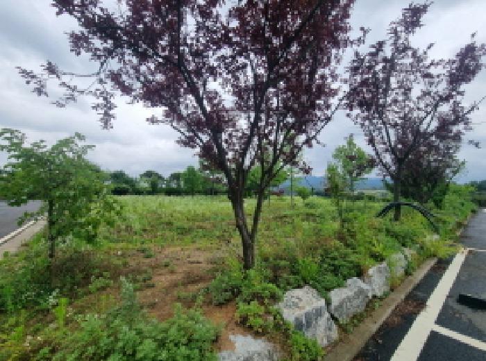 목록2 제시외수목