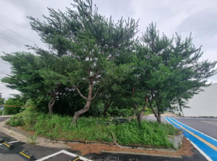 목록1,2 제시외수목