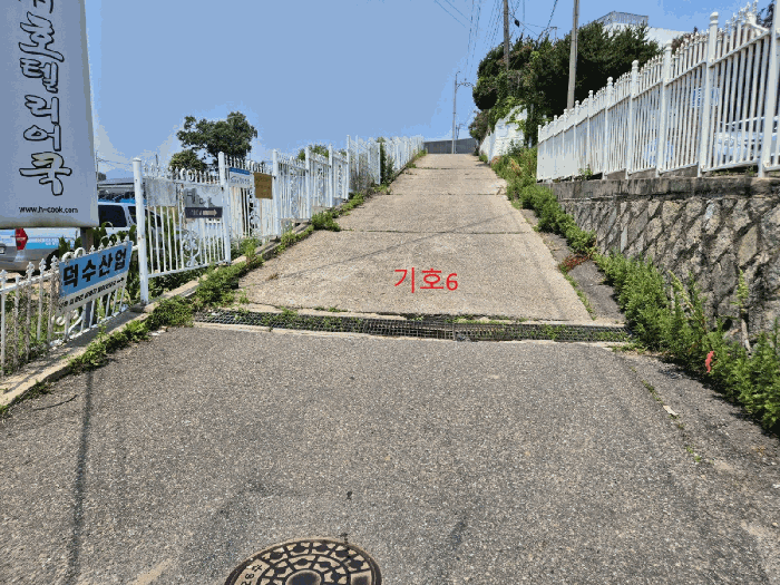 기호6
