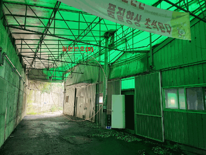 일련번호(5)
