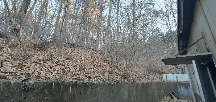 기호(1) 전경-1