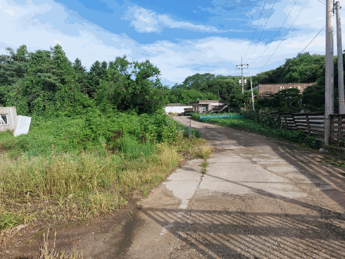 일련번호(3) 