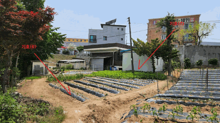 기호(6,7) 전경(북동측에서 촬영)
