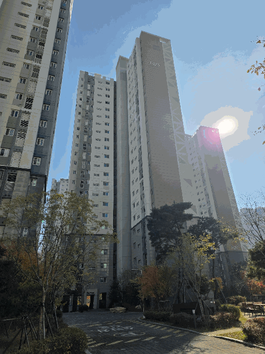 본건 1425동