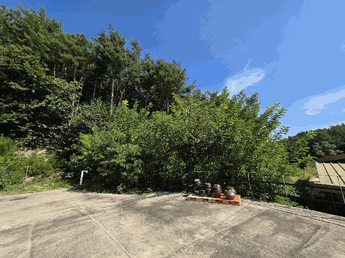 본건 기호4 전경