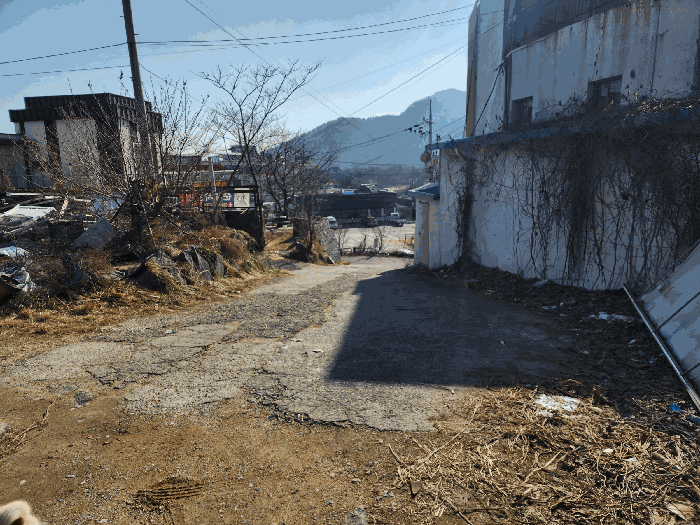일부 현황 도로 부분