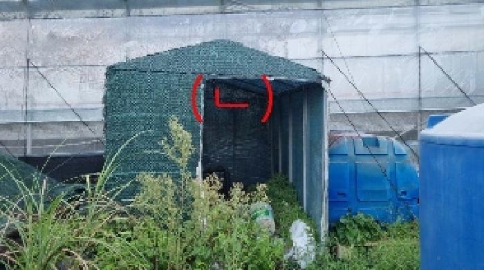 소재지4(위미리 2633) 지상에 소재한 제시외 건물(ㄴ)