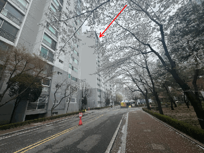대상동 전경