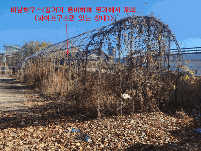 본건 소재 비닐하우스 1동 전경(평가에서 제외)