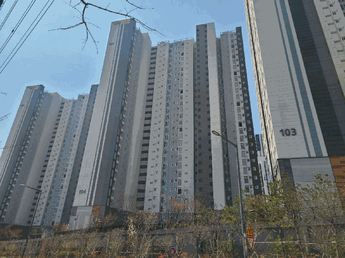 대전해모로더센트