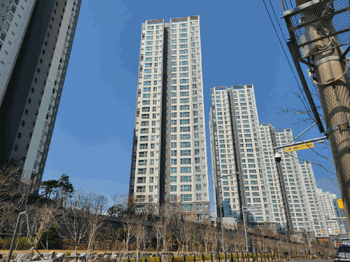 대전해모로더센트