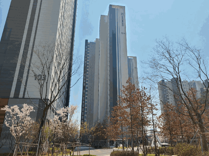 대전해모로더센트