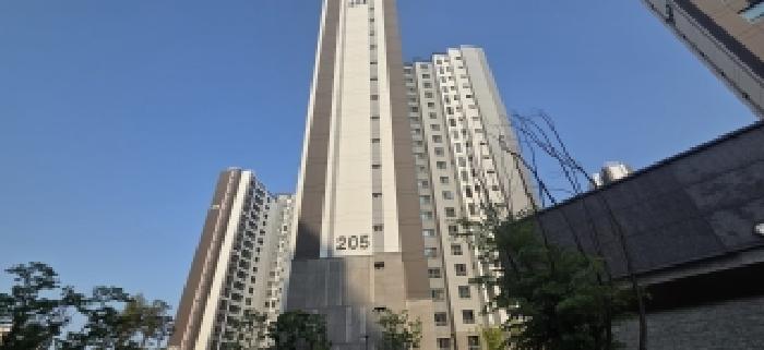 1동건물