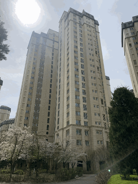 대상물건 소재 건물 전경