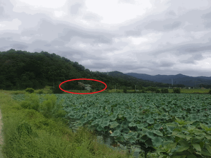 본건 주위환경