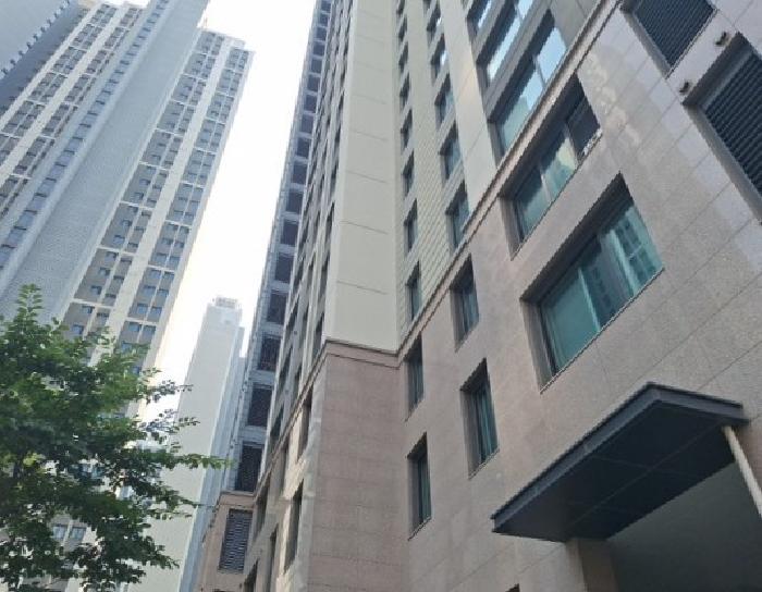 전체 전경