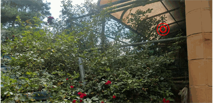 제시외물건 ㉧