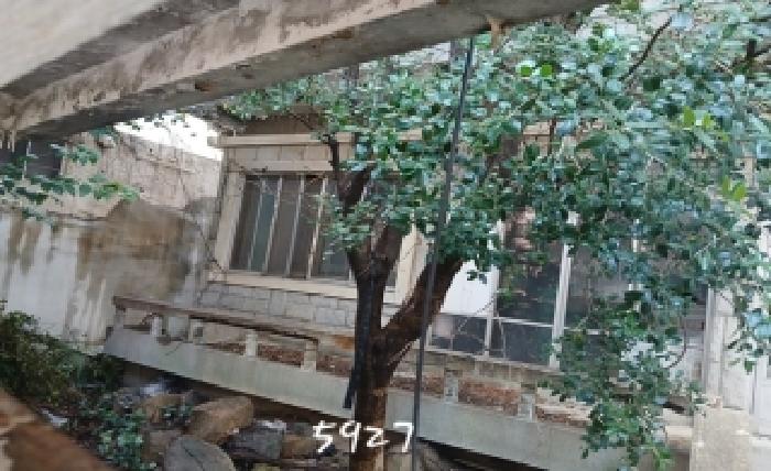 본건 단층 주택
