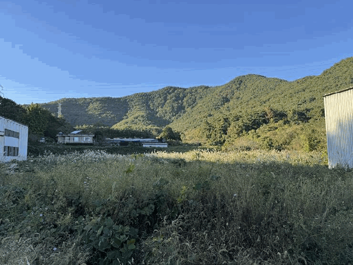 기호(3)