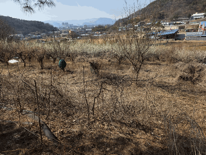 기호 10) 남동측