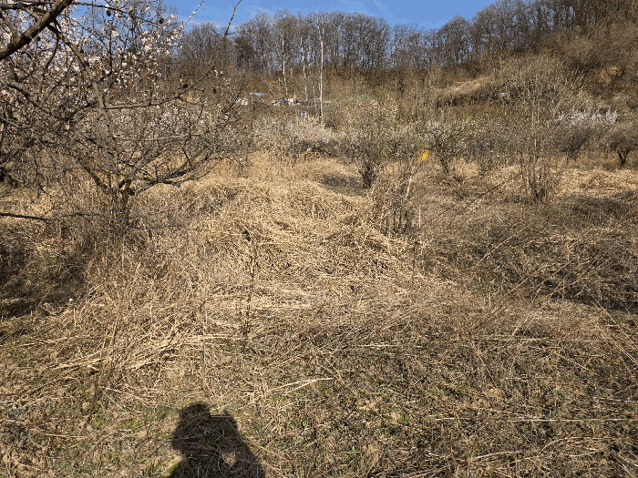 기호 3) 북측 부근