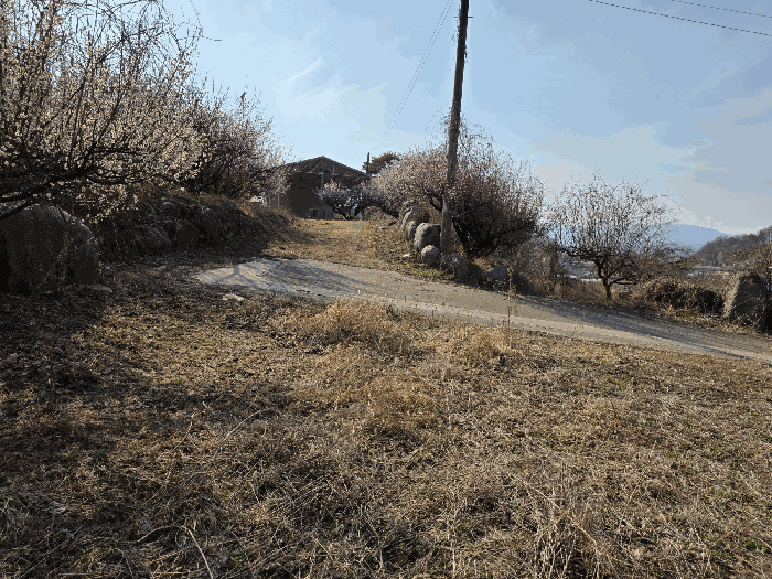 기호 14) 동측 진입로 외