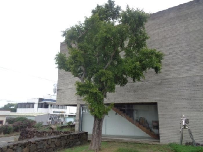 소재지 1.(동