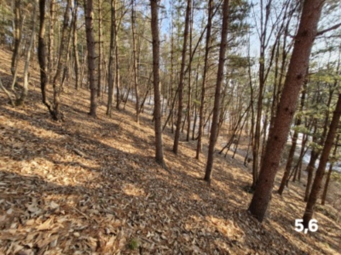 목록 5. 6.