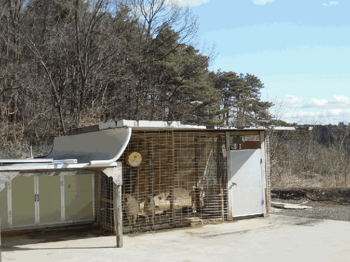 제시외건물ㄷ